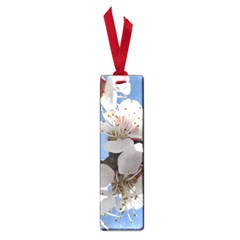 Apricot Blossoms Small Book Marks