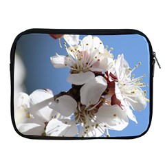 Apricot Blossoms Apple Ipad 2/3/4 Zipper Cases by trendistuff