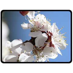 Apricot Blossoms Double Sided Fleece Blanket (large) 