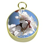 APRICOT BLOSSOMS Gold Compasses Front