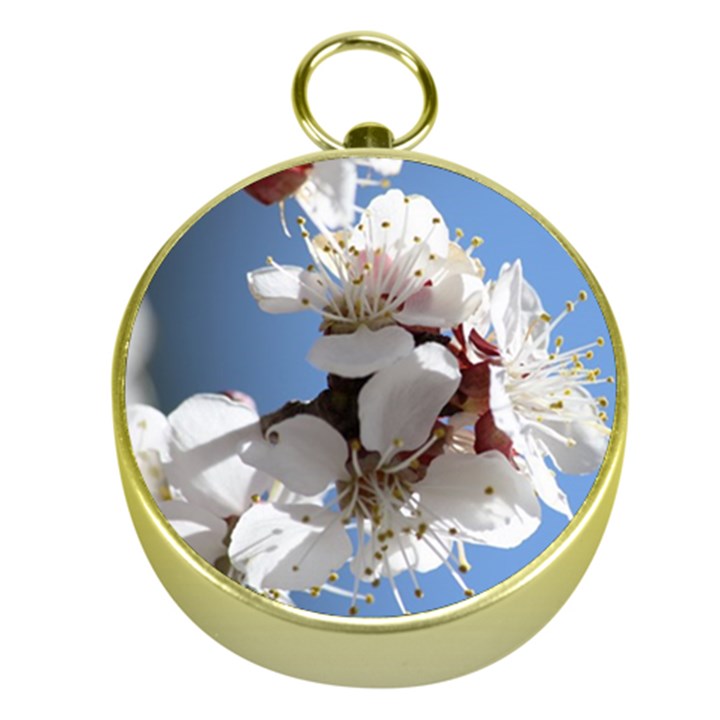 APRICOT BLOSSOMS Gold Compasses