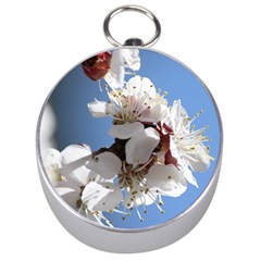 Apricot Blossoms Silver Compasses