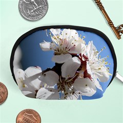 Apricot Blossoms Accessory Pouches (medium) 