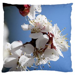 Apricot Blossoms Large Flano Cushion Cases (one Side) 