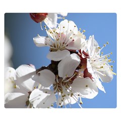 Apricot Blossoms Double Sided Flano Blanket (small) 