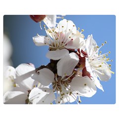 Apricot Blossoms Double Sided Flano Blanket (medium) 