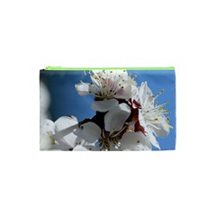 Apricot Blossoms Cosmetic Bag (xs)