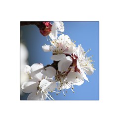 Apricot Blossoms Satin Bandana Scarf