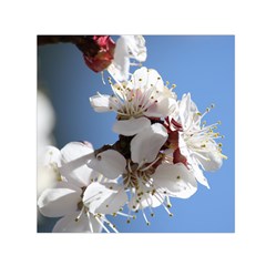 Apricot Blossoms Small Satin Scarf (square) 