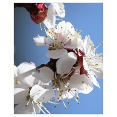 Apricot Blossoms Drawstring Bag (small) by trendistuff