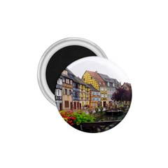 Colmar France 1 75  Magnets by trendistuff