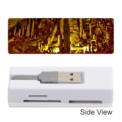 Volcano Cave Memory Card Reader (stick) 