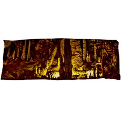 Volcano Cave Body Pillow Cases Dakimakura (two Sides)  by trendistuff