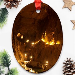 Skocjan Caves Oval Ornament (two Sides) by trendistuff