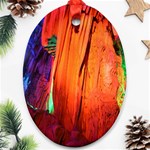 REED FLUTE CAVES 4 Ornament (Oval)  Front