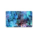 REED FLUTE CAVES 3 Magnet (Name Card) Front