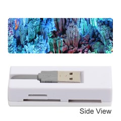 Reed Flute Caves 3 Memory Card Reader (stick) 