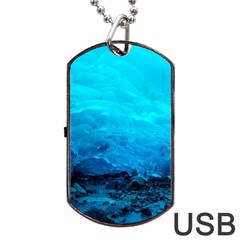 Mendenhall Ice Caves 3 Dog Tag Usb Flash (two Sides)  by trendistuff