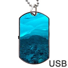 Mendenhall Ice Caves 1 Dog Tag Usb Flash (one Side) by trendistuff