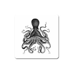 Vintage Octopus Square Magnet by waywardmuse