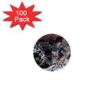 KARIJINI CANYON 1  Mini Magnets (100 pack) 