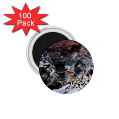 Karijini Canyon 1 75  Magnets (100 Pack) 