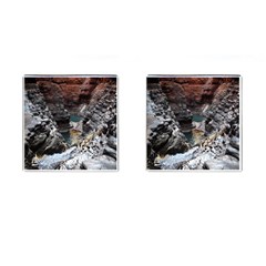 Karijini Canyon Cufflinks (square) by trendistuff