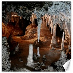 Jenolan Imperial Cave Canvas 12  X 12   by trendistuff