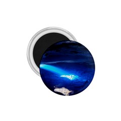 Chapada Diamantina 4 1 75  Magnets by trendistuff