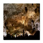 CARLSBAD CAVERNS Tile Coasters