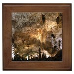 CARLSBAD CAVERNS Framed Tiles