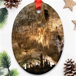 CARLSBAD CAVERNS Ornament (Oval) 