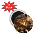 CARLSBAD CAVERNS 1.75  Magnets (10 pack) 