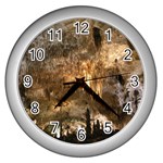 CARLSBAD CAVERNS Wall Clocks (Silver) 