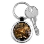 CARLSBAD CAVERNS Key Chains (Round) 