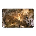 CARLSBAD CAVERNS Magnet (Rectangular)