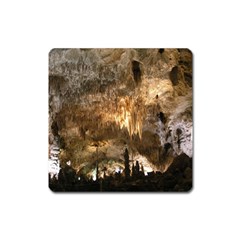 Carlsbad Caverns Square Magnet by trendistuff