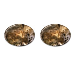 Carlsbad Caverns Cufflinks (oval) by trendistuff