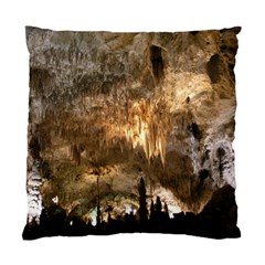 Carlsbad Caverns Standard Cushion Case (one Side)  by trendistuff