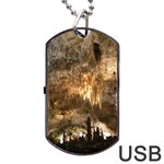 CARLSBAD CAVERNS Dog Tag USB Flash (Two Sides)  Back