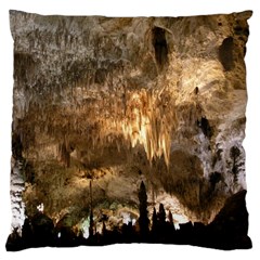 Carlsbad Caverns Large Cushion Cases (two Sides)  by trendistuff