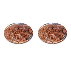 Bryce Canyon Amp Cufflinks (oval) by trendistuff