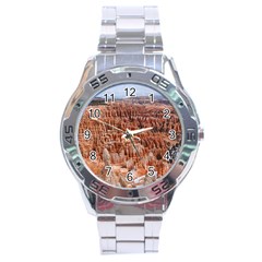 Bryce Canyon Amp Stainless Steel Men s Watch by trendistuff