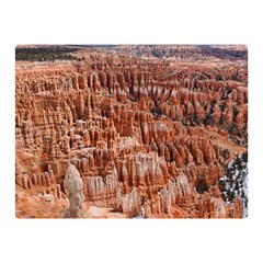 Bryce Canyon Amp Double Sided Flano Blanket (mini) 