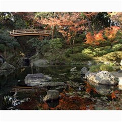 Wakayama Garden Collage 8  X 10  by trendistuff