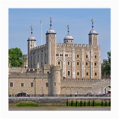 Tower Of London 2 Medium Glasses Cloth