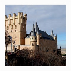 Segovia Castle Medium Glasses Cloth by trendistuff