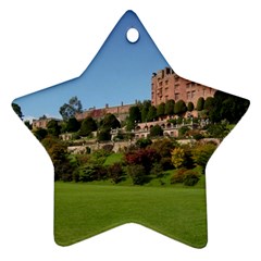 Powis Castle Terraces Ornament (star)  by trendistuff