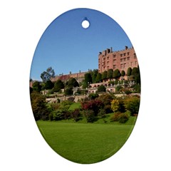 Powis Castle Terraces Oval Ornament (two Sides) by trendistuff