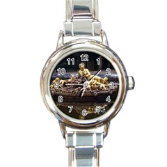 Palace Of Versailles 3 Round Italian Charm Watches by trendistuff